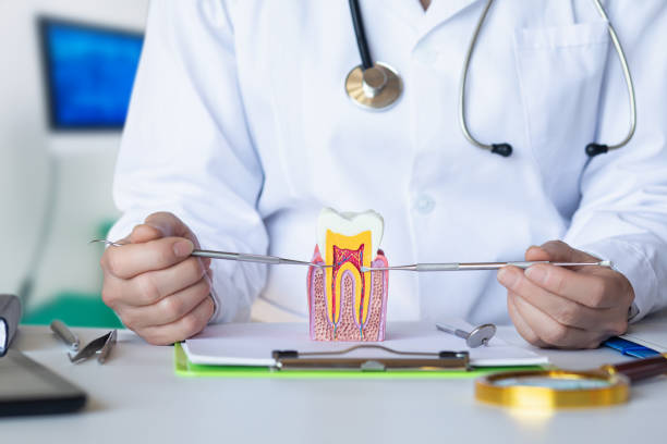 Best Emergency Tooth Extraction in Hoback, WY